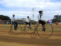 Ekka 2013a